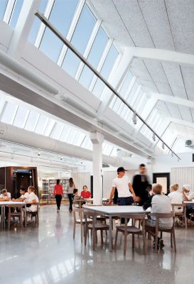 Custom Modular Skylight