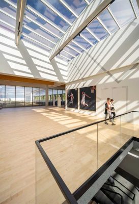 Velux Step Longlight Ridgelight